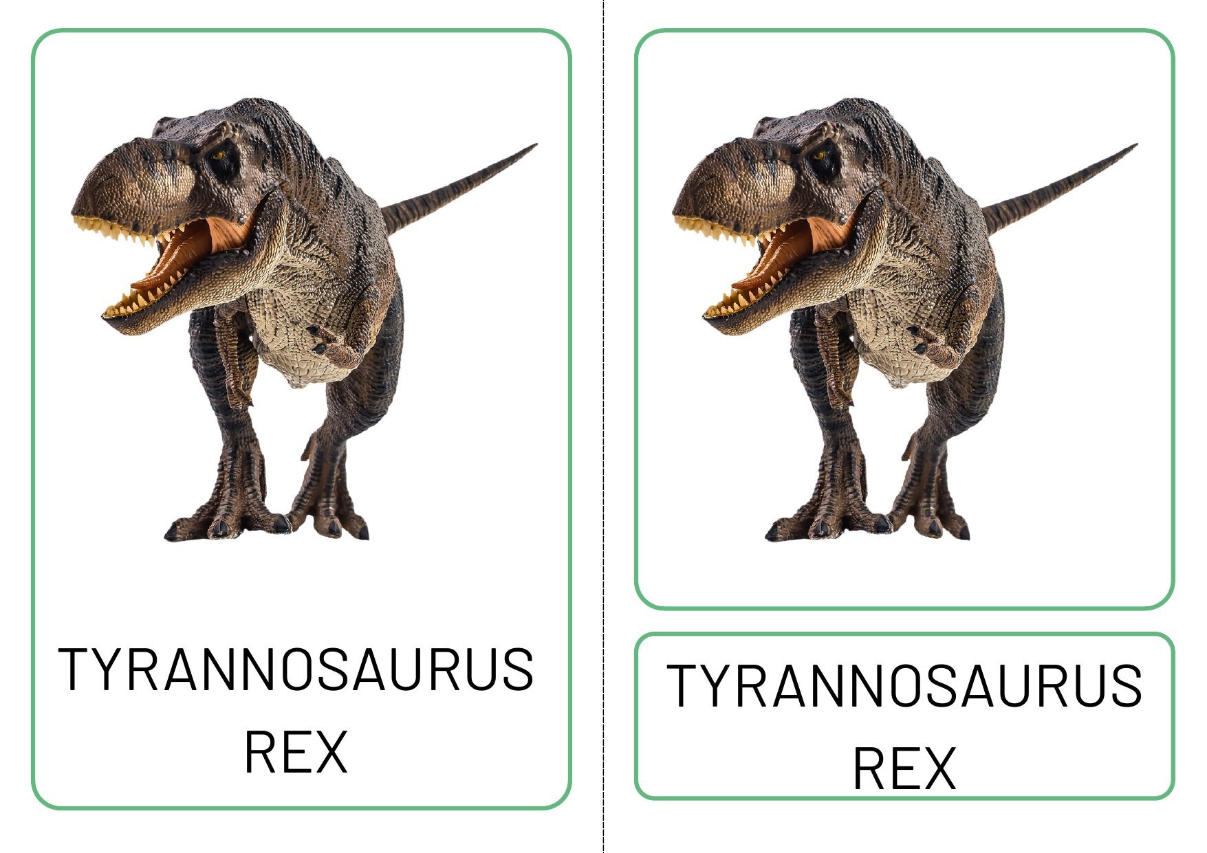 Dinosaur Three Part Matching Cards